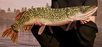 Fishing Sim World Interview - The 'most authentic fishing experience' ever
