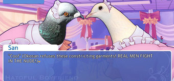 Parent's Guide: Hatoful Boyfriend - Age rating, mature content and difficulty
