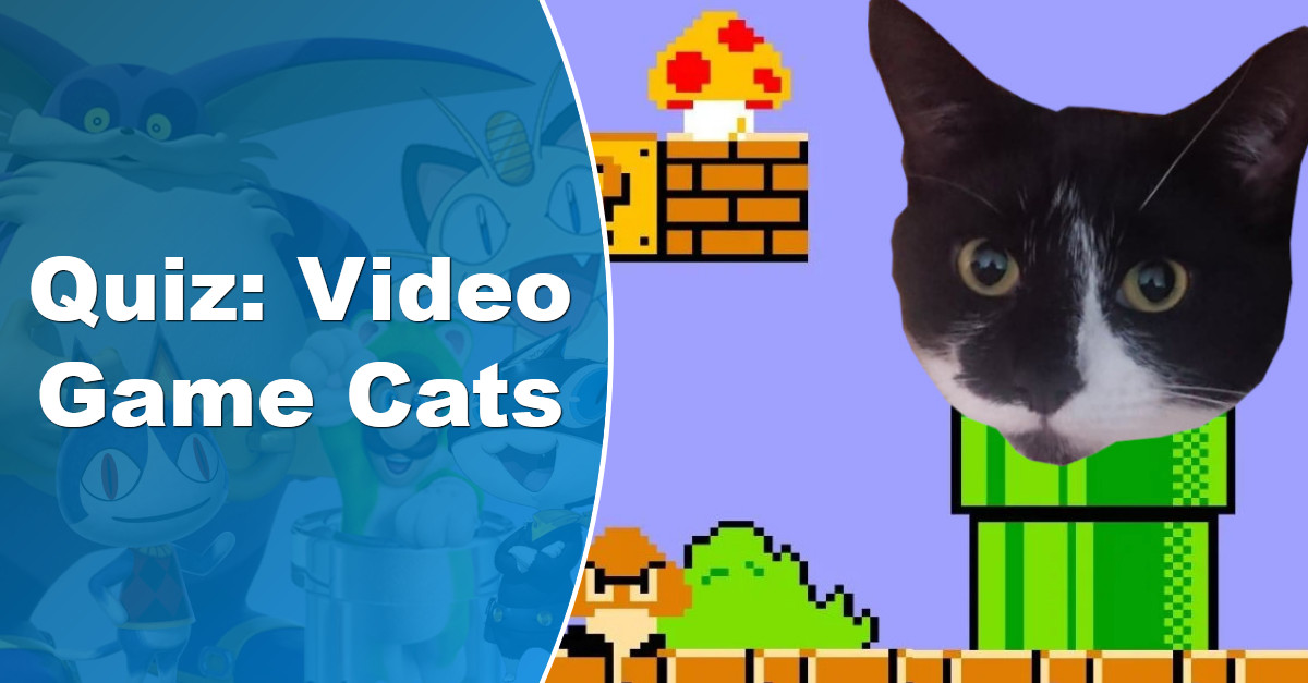 how many video game cats can you name quiz outcyders how many video game cats can you name