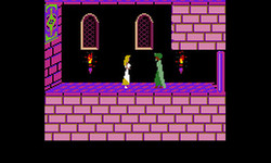 Prince Of Persia Screenshot