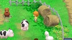 Harvest Moon: The Tale of Two Towns Nintendo DS Screenshots