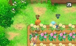 harvest moon the tale of two towns