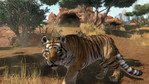 Zoo Tycoon Xbox One Screenshots