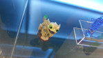 Skylanders Trap Team Nintendo 3DS Screenshots