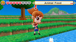 Harvest Moon: The Lost Valley Nintendo 3DS Screenshots