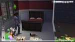 The Sims 4: Cats & Dogs Xbox One Screenshots