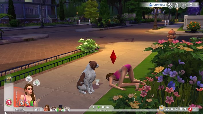The Sims 4 Cats & Dogs Screenshot