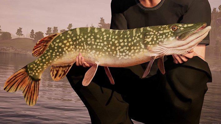 Fishing Sim World Interview - The 'most authentic fishing