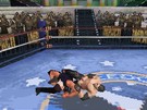 TNA iMPACT: Cross the Line Nintendo DS Screenshots