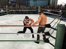 TNA iMPACT: Cross the Line Nintendo DS Screenshots