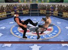 TNA iMPACT: Cross the Line Nintendo DS Screenshots