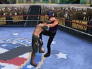 TNA iMPACT: Cross the Line Nintendo DS Screenshots