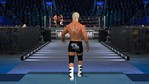 Smackdown vs Raw 2011 Xbox 360 Screenshots