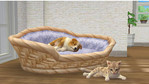 Nintendogs + Cats: Golden Retriever + New Friends Nintendo 3DS Screenshots