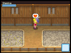 Harvest Moon Grand Bazaar Screenshot