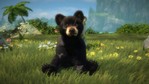 Kinectimals: Now With Bears Xbox 360 Screenshots