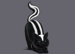 Sims 3 Pets Skunk Cat